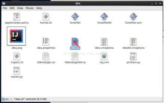 軟件開發的多維視角